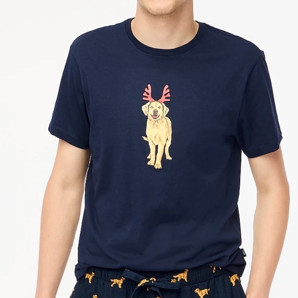 J crew Golden retriever in antlers graphic tee